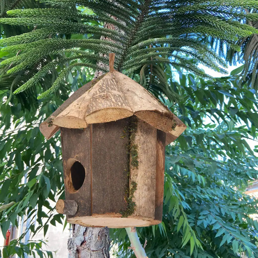 Outside Wooden Bird Nest Natural