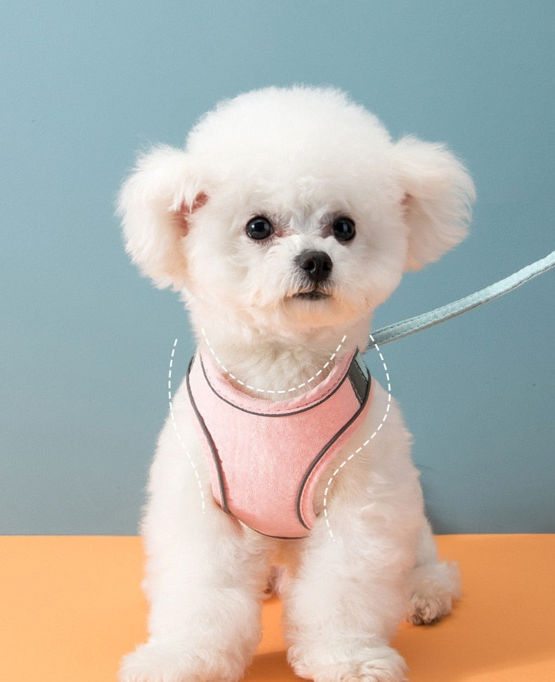 dog and cat harness with leash