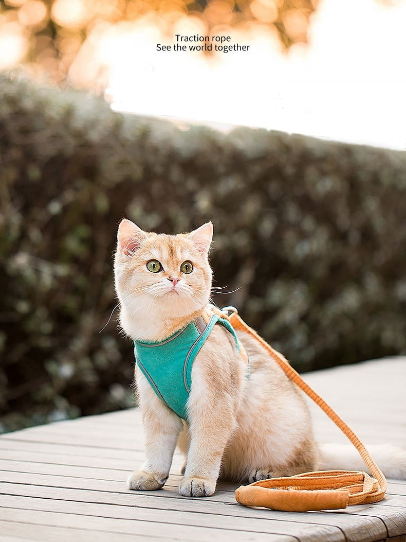 dog and cat harness with leash