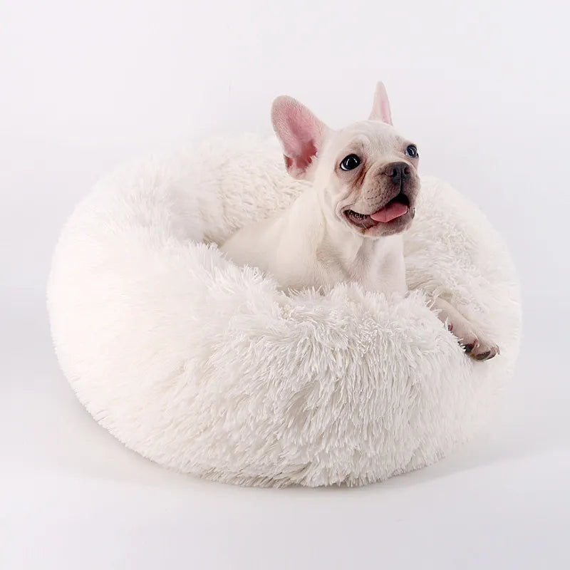 Comfy Calming Dog Beds