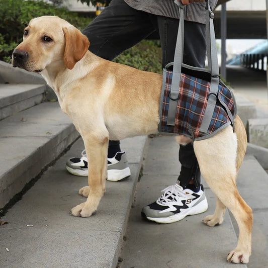 Adjustable Dog Support Harness for Front and Rear Legs Lifting Rehabilitation Vest