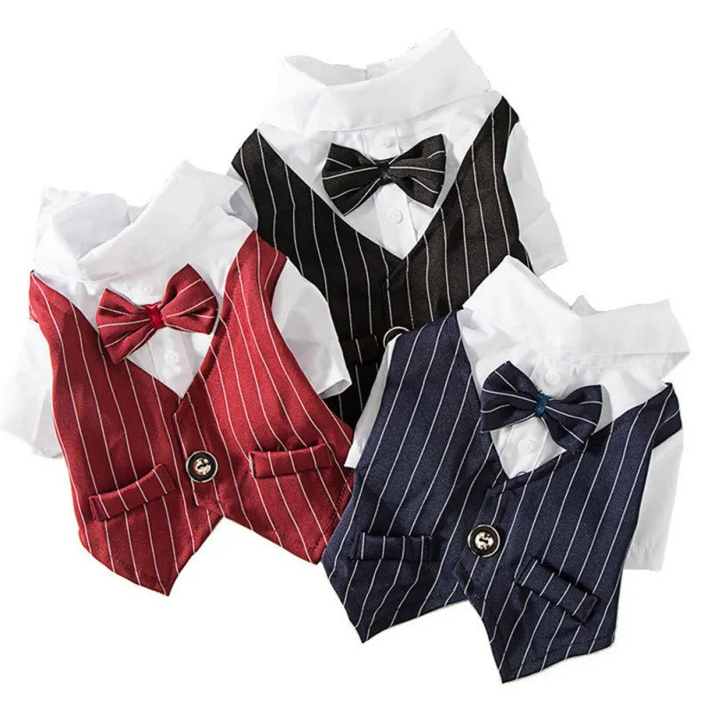 Gentleman Dog Clothes Wedding Suit