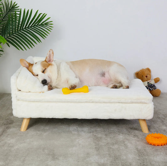 Elevated Pet dog Bed, with Cozy Pad Waterproof,