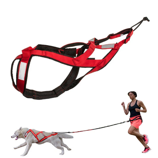 Pet Sledge Harness for Small Large Dogs Reflective Dog Harness Vest Weight Pulling Sledding