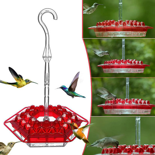 Hummingbird Feeders for Outdoor