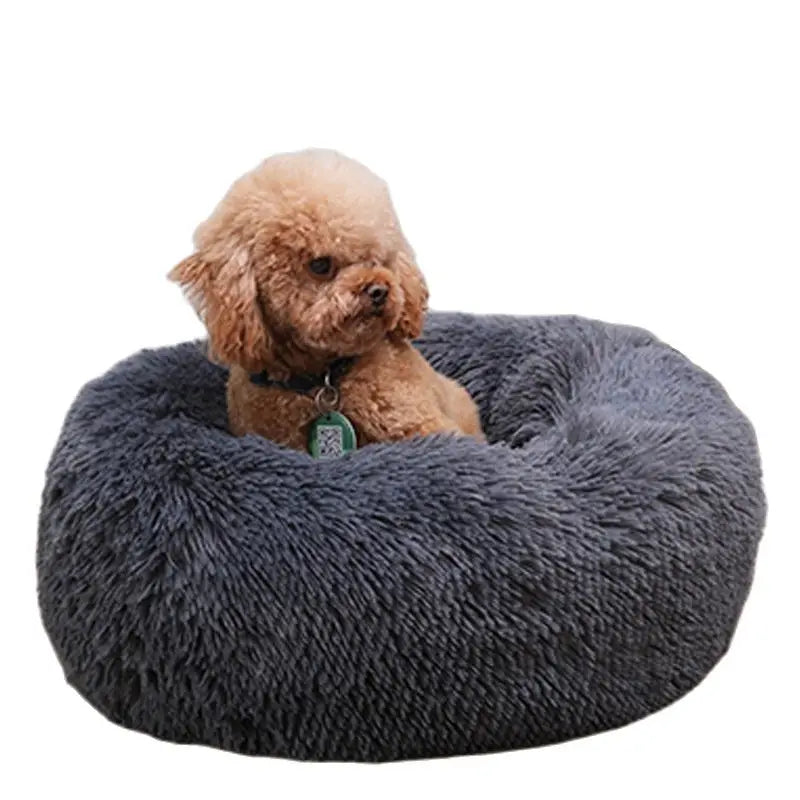 Comfy Calming Dog Beds