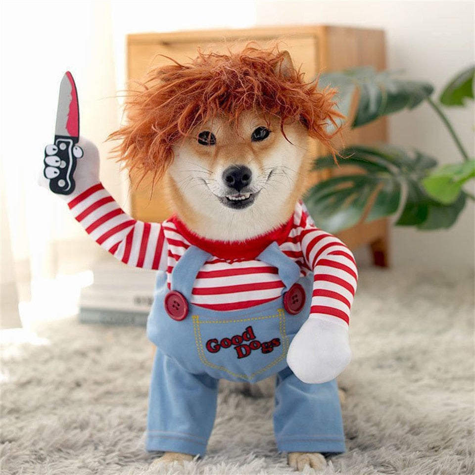 Clown  Pet Costume,