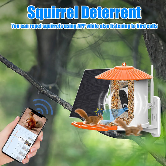 Smart Bird Feeder with Camera APP Night Vision 1080P HD Wireless Solar Panel