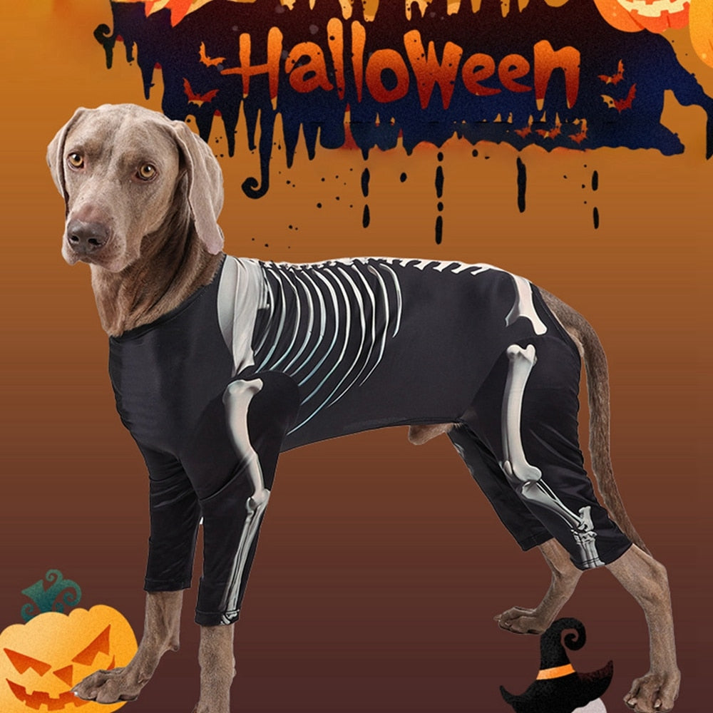 Halloween Dog Clothes Funny Big Dog Skeleton