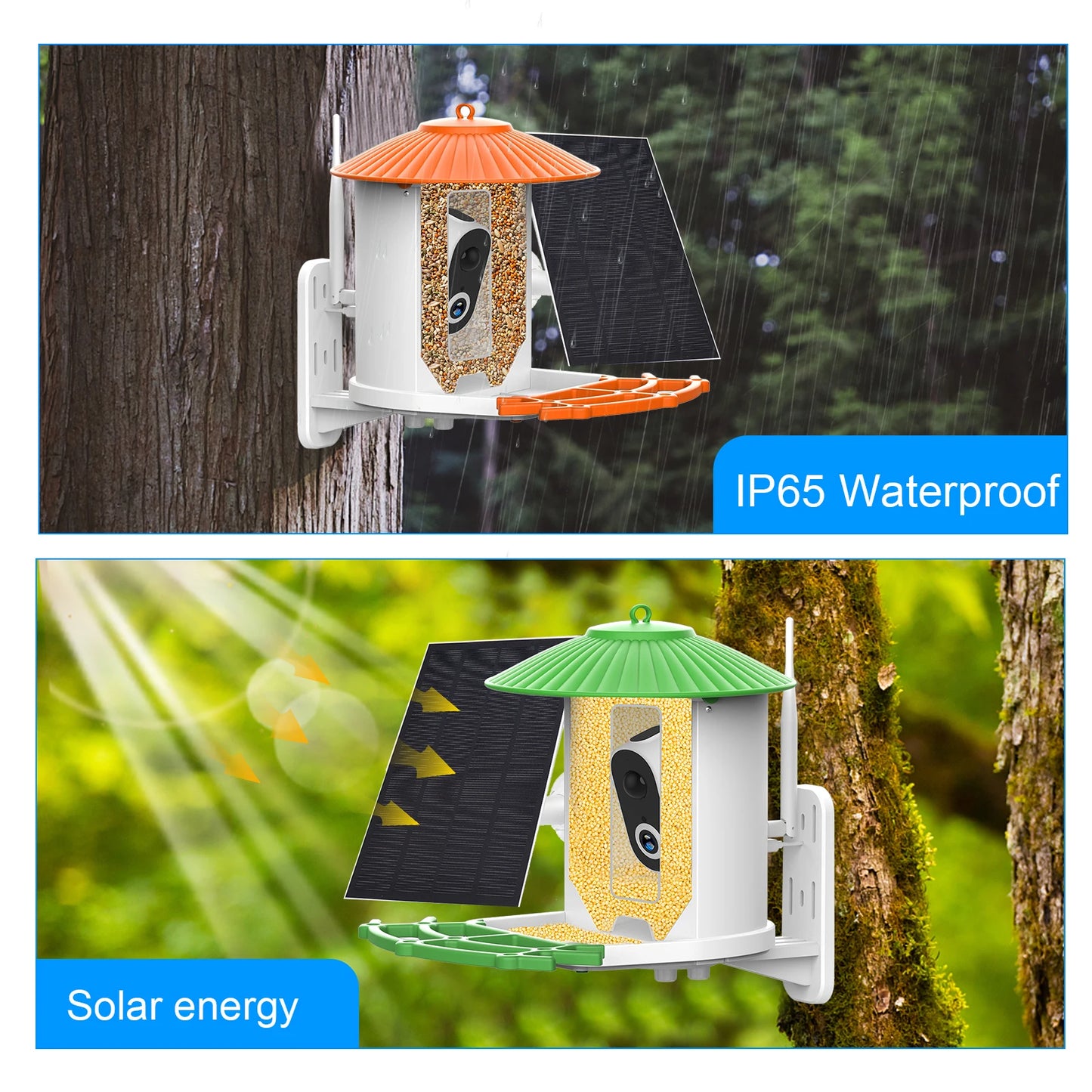 Smart Bird Feeder with Camera APP Night Vision 1080P HD Wireless Solar Panel