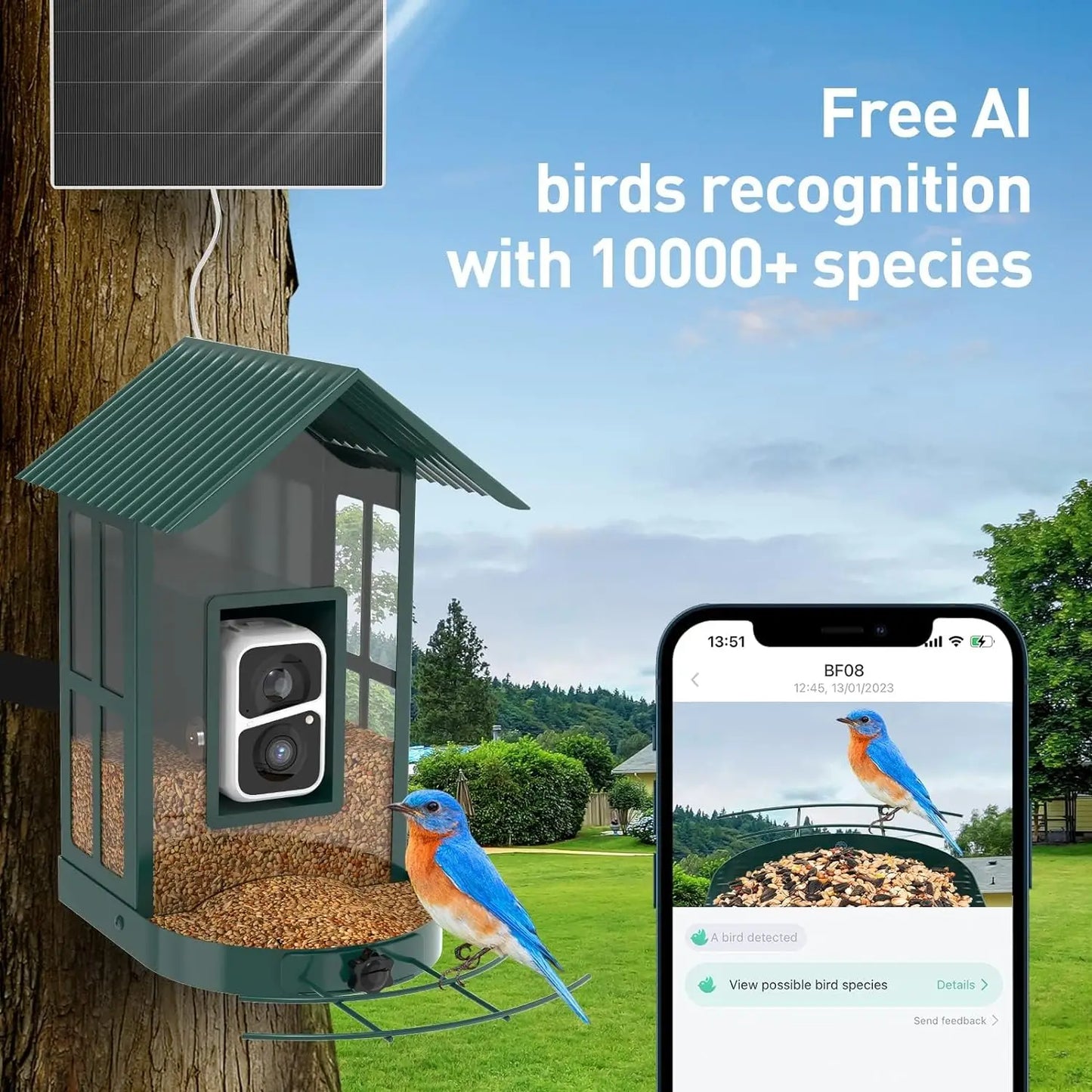 SOLIOM® BF08- Metal Bird Feeder Camera with Smart AI Identify Bird Species, Wild Bird Watching Cam,