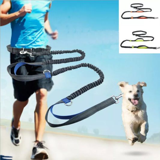 Reflective Leash Traction Rope Pet Dog Running Belt hands free