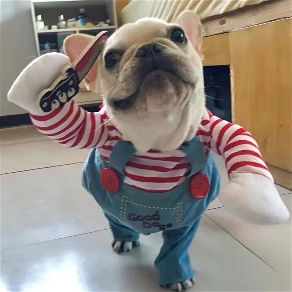 Clown  Pet Costume,