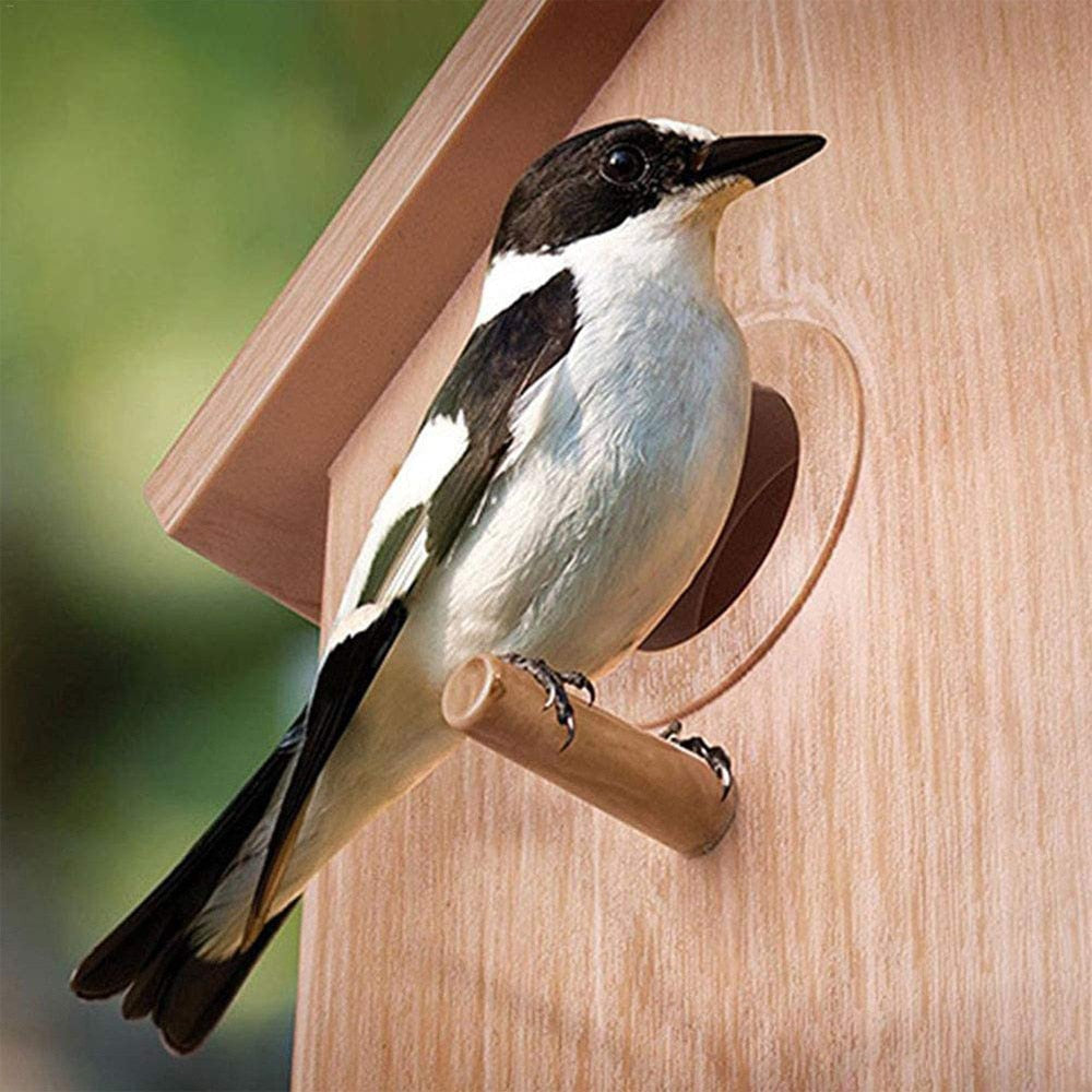 Outdoor window bird nest feeder