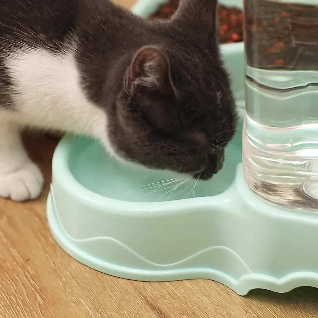 Cat Pet Automatic Feeder Drinking Bowl