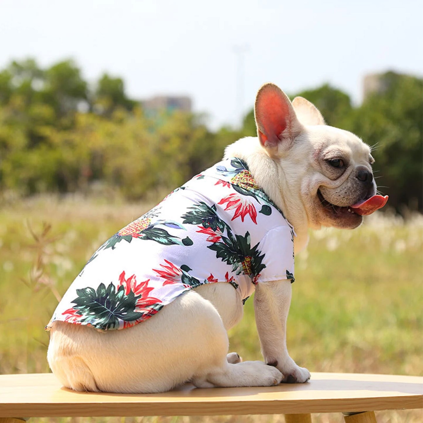 Hawaiian Dog Shirts Pineapple Print