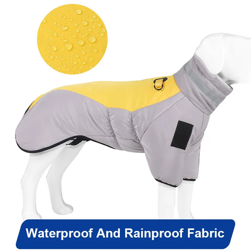 2023 Warm Dog Down Jacket