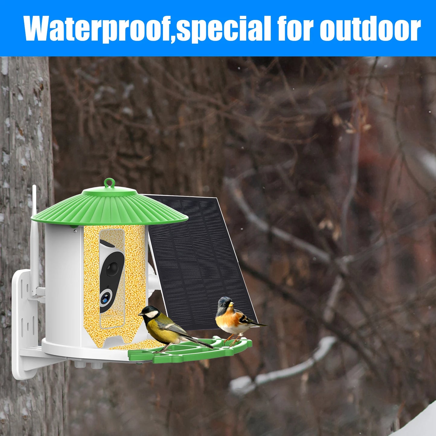 Smart Bird Feeder with Camera APP Night Vision 1080P HD Wireless Solar Panel