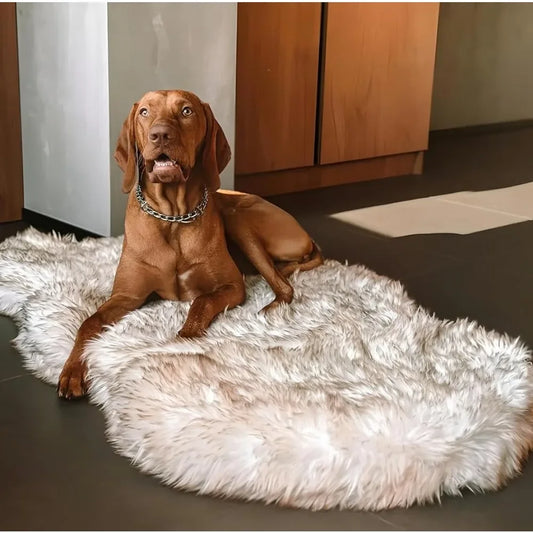 Luxury Faux Fur Orthopedic Memory Foam Dog BedFluffy Pet Bed With Waterproof and Washable Cover (White Convertible Sofa Mats