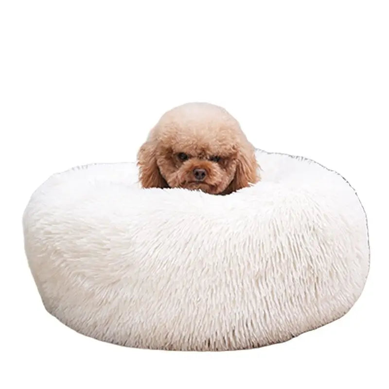 Comfy Calming Dog Beds