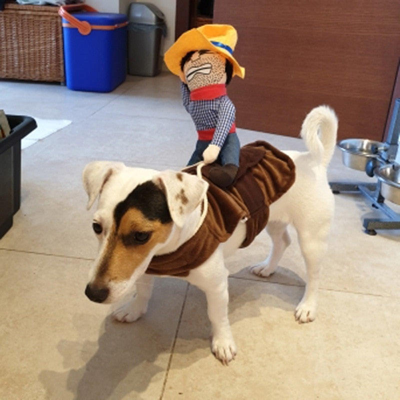 Cowboy Rider Dog Costume