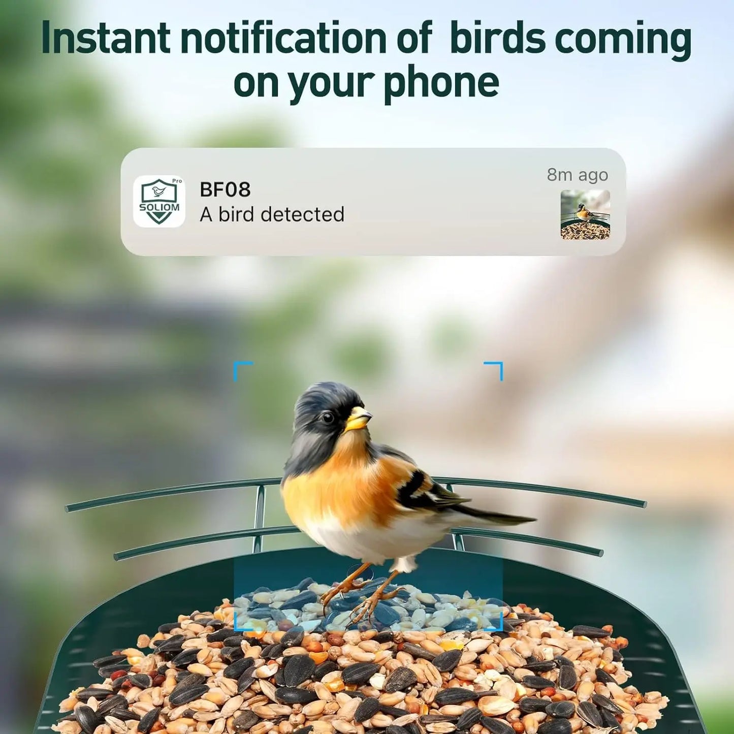 SOLIOM® BF08- Metal Bird Feeder Camera with Smart AI Identify Bird Species, Wild Bird Watching Cam,