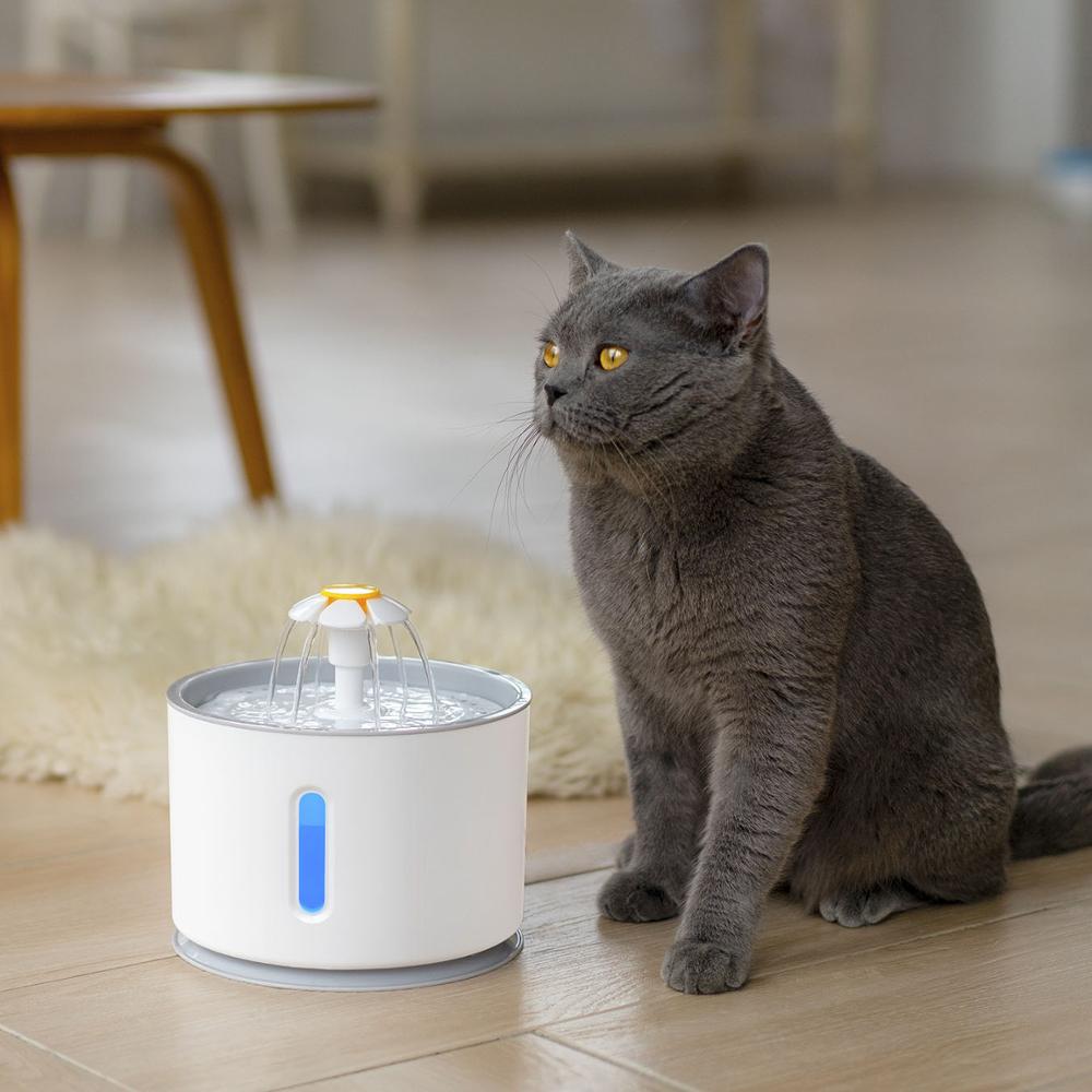 Automatic Pet Cat Water Fountain with LED Lighting 5 Pack Filters 2.4L USB Dogs Cats - yourcasuallifestore