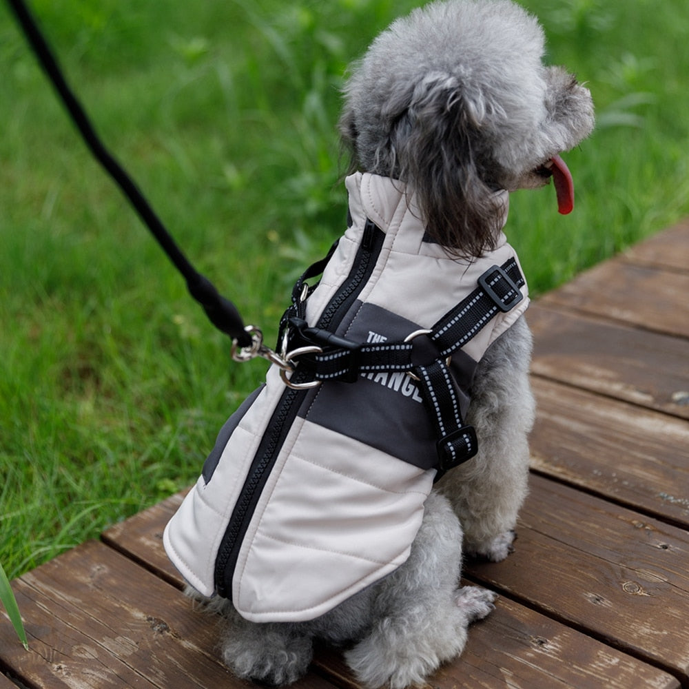 Winter Pet Dog Jacket With Harness Rope Warm Clothes Waterproof Coat